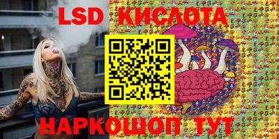 шишки Канаш