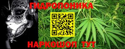 трава Камышлов