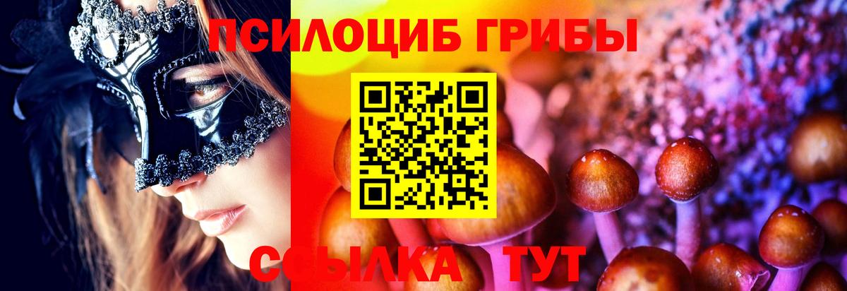 Галлюциногенные грибы Cubensis Крымск