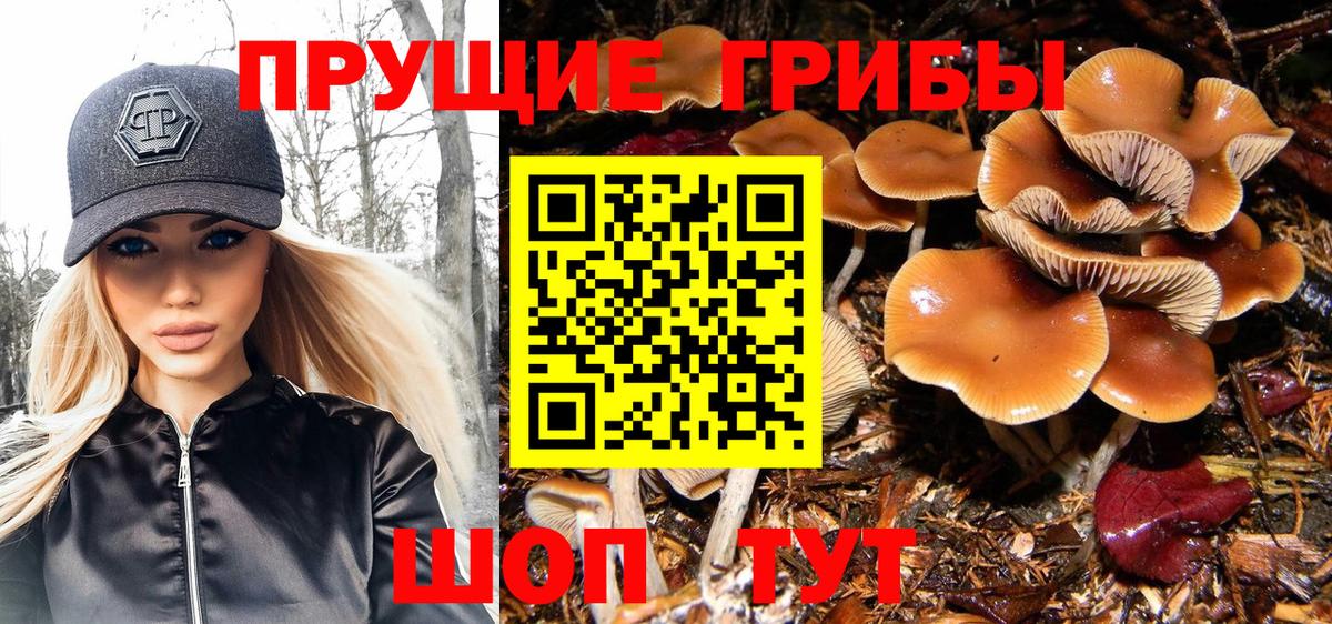 Галлюциногенные грибы Psilocybine cubensis  Вход с VPN  Крымск 